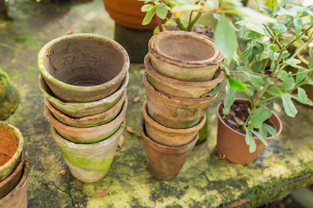 Molti vasi e fiori in ceramica vuoti su cemento in serra.