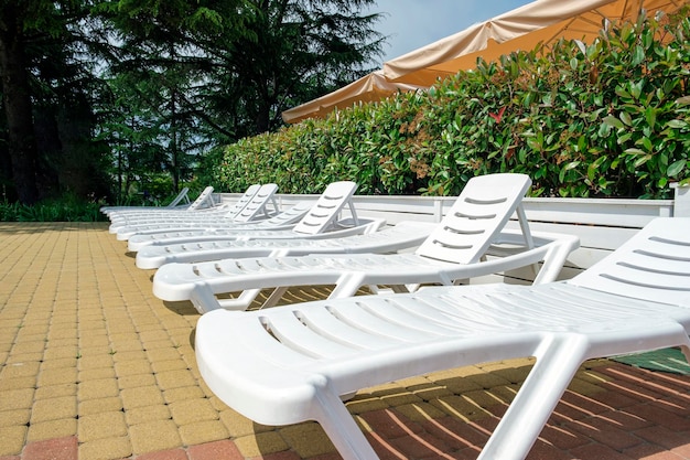 Many empty white loungers in row in luxury tropical resort hotel Perspective along green bushes Summer holidays and vacation travel and tourism concept