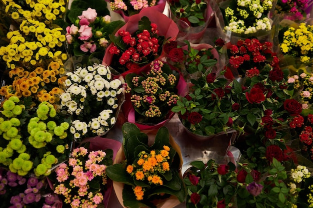 Many flowers in pots close up flowers festive bouquet flowers
in the store