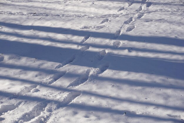 Many footprints on snow in winter