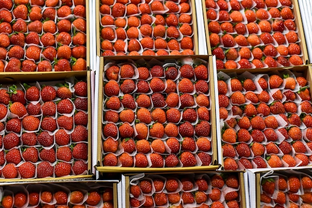 Many fresh natural strawberry in vietnamese night market in Da Lat