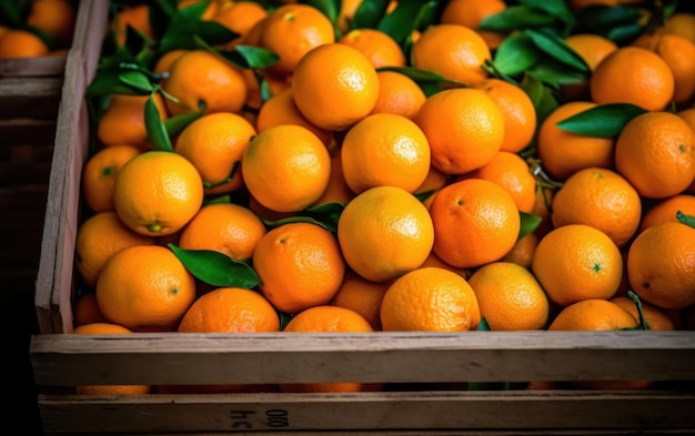 Много свежих апельсинов и мандаринов в деревянных коробках. Фермерский рынок