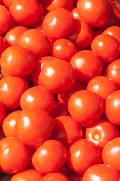 Many fresh red ripe tomatos