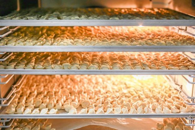 Foto molti gnocchi congelati in frigorifero di produzione aperto. scaffali per la conservazione di semilavorati surgelati.