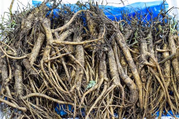Many ginseng roots in vietnamese market