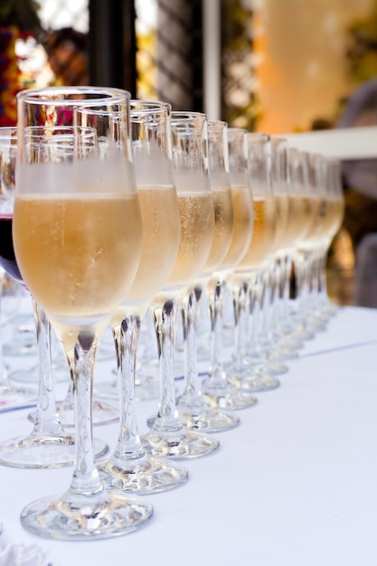 Many glasses of champagne in a line