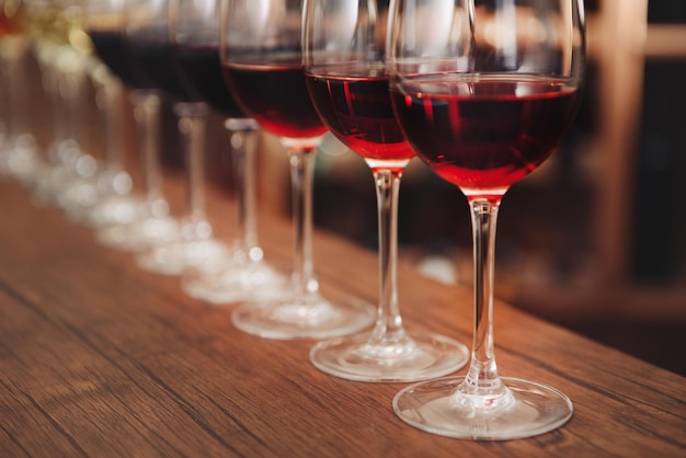 Many glasses of different wine in a row on bar counter