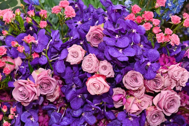 Many kinds of flowers was set up beautifully for the carnival