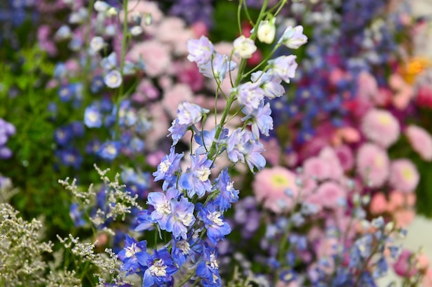 Molti tipi di fiori sono stati allestiti magnificamente per il carnevale