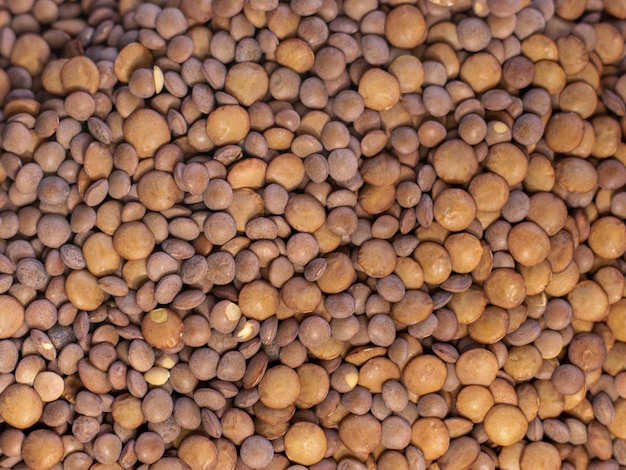 Many Lentils seen up close