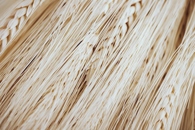 Foto molte fibre di grano leggero e semi