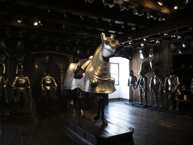 Many medieval iron metal horse armor