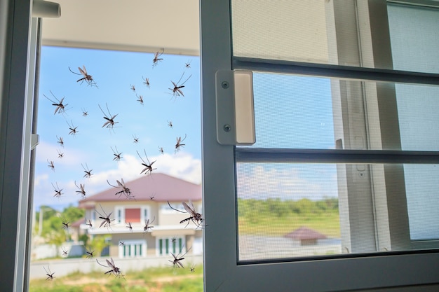 Многие комары прилетели в дом, когда была открыта сетка от насекомых
