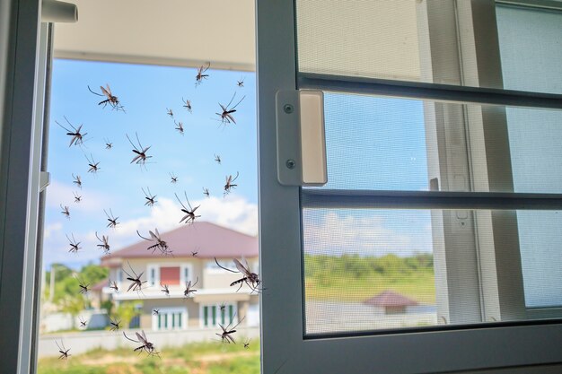 Barrier Free Mosquito mesh