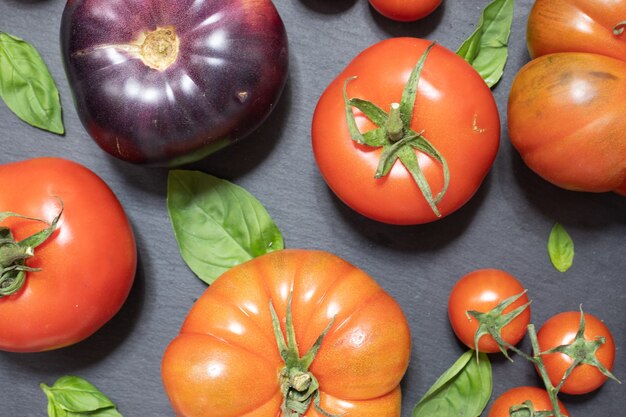 Foto molti pomodori rossi e viola multicolori con basilico su sfondo scuro