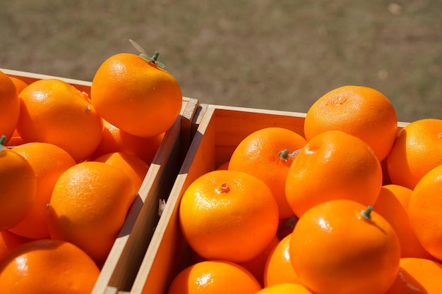 상자에 많은 오렌지