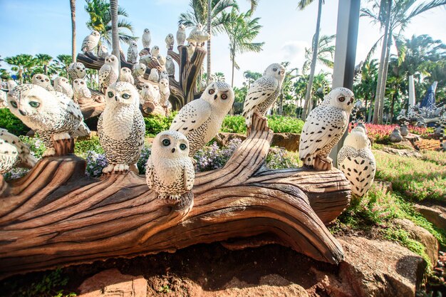 Molte sculture di gufi in un parco tropicale