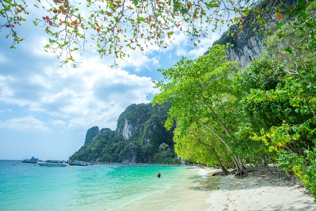 タイのクラビ県のライレイ島で多くの人が泳ぎ、リラックスしています