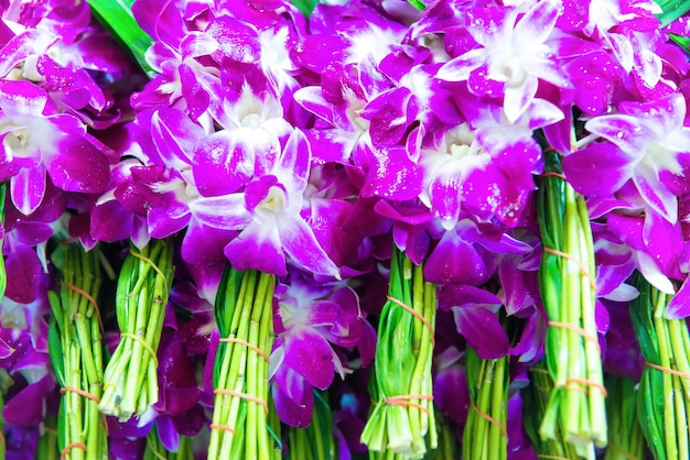 Many pink and purple orchid bouquets at tropical flower market