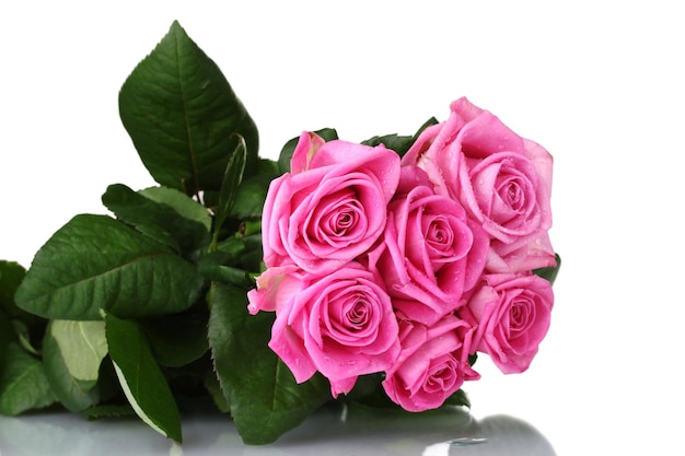 Many pink roses isolated on white