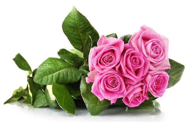 Many pink roses isolated on white