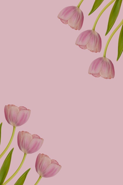 Foto molti tulipano rosa fiore con foglie verdi motivo senza cuciture su sfondo rosa primavera ripetizione botanica carta da parati floreale o biglietto di auguri concetto di idea di design della natura cornice di fiori