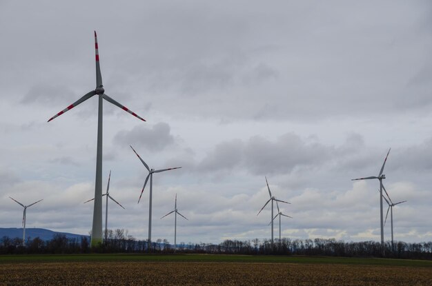 Many pinwheels in the nature