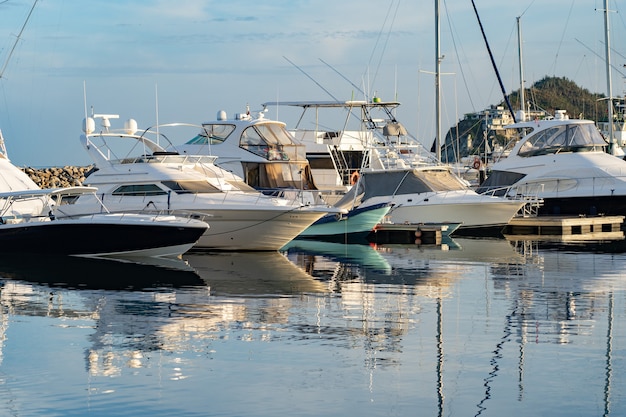 Many powerboats Docked at a Marina with palm tree and blue sky.