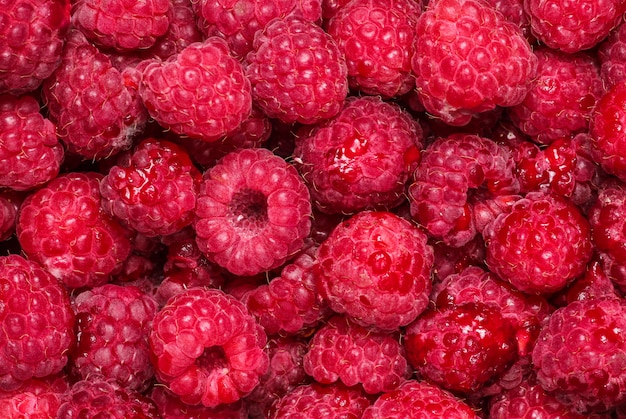 Many raspberries, of berries, top view