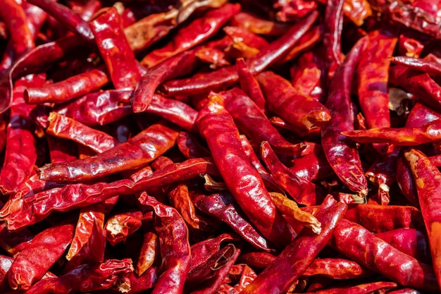 Many red dried peppers background
