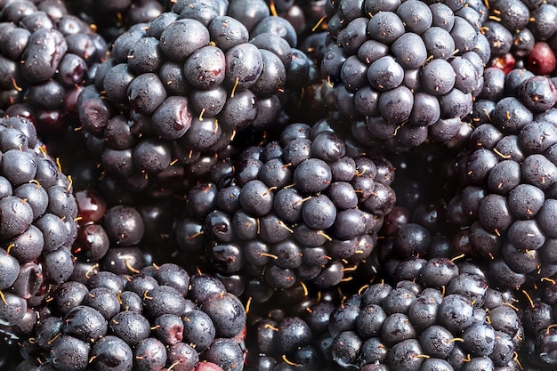 Many ripe fresh blackberries close up