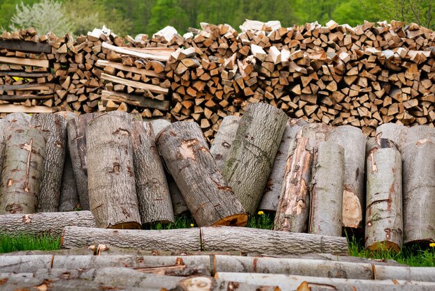 Many sections of logs firewood stacked in the open air 