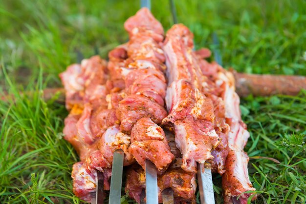 Many skewers with raw shish kebab preparing for barbecue on green grass