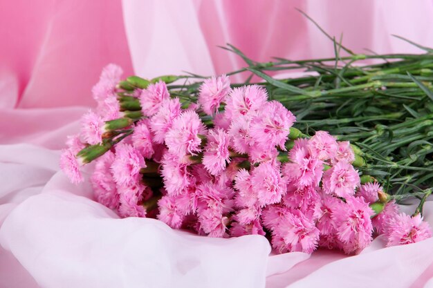 Many small pink cloves on light fabric background