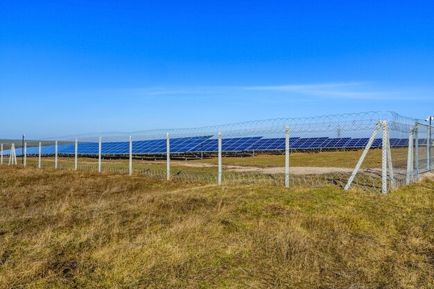 Photo many solar panels in a field clean energy ecological concept