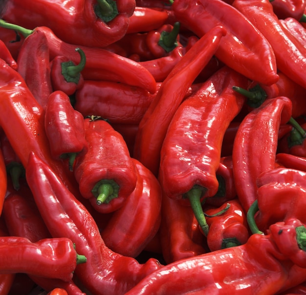  Many spicy red chillies