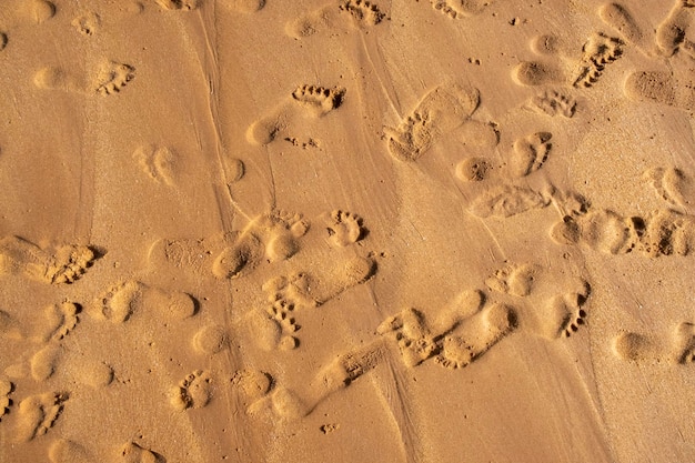 Many steps on sand