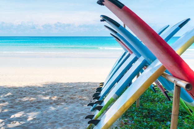 Many surfboards for rent at summer beach with sunlight blue sky.