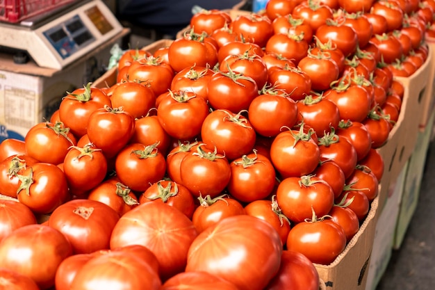 Many tomatoes in a market