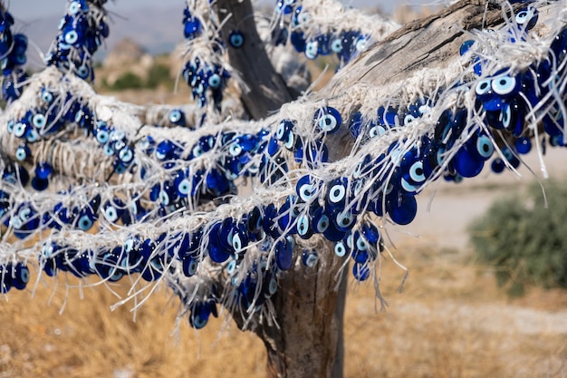 Many traditional turkish Evil Eye Bead Amulets on the tree nazar boncuk from blue glass