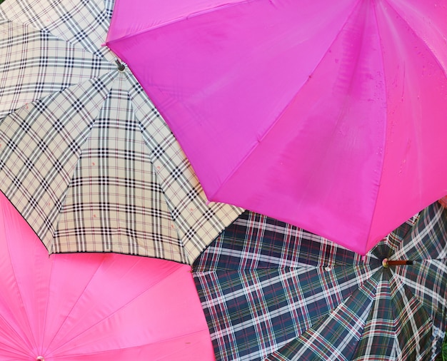 Many umbrellas on green summer grass in garden