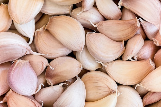 Many unpeeled garlic cloves food background