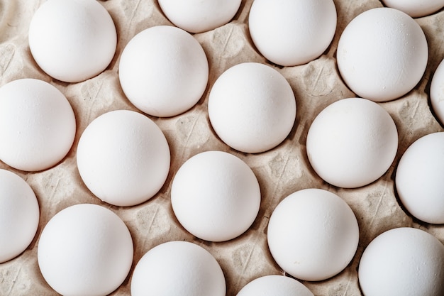 Many white chicken eggs food in tray box