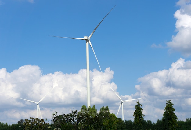 Many wind turbine in meadow.