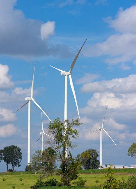 Many wind turbine in meadow.