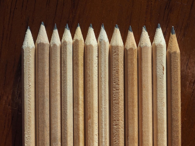 많은 나무 연필