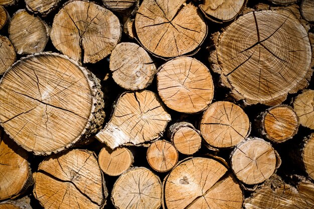 Many wooden logs textured background