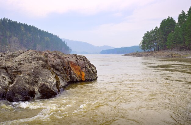 manzherok stroomversnellingen in het altai gebergte rotsachtige oever van de katun rivier