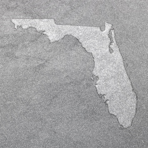 Photo map of florida silver background