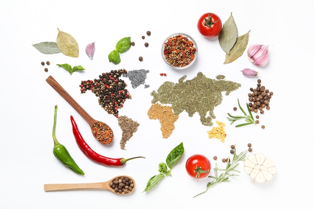 Map of world made from different kinds of spices